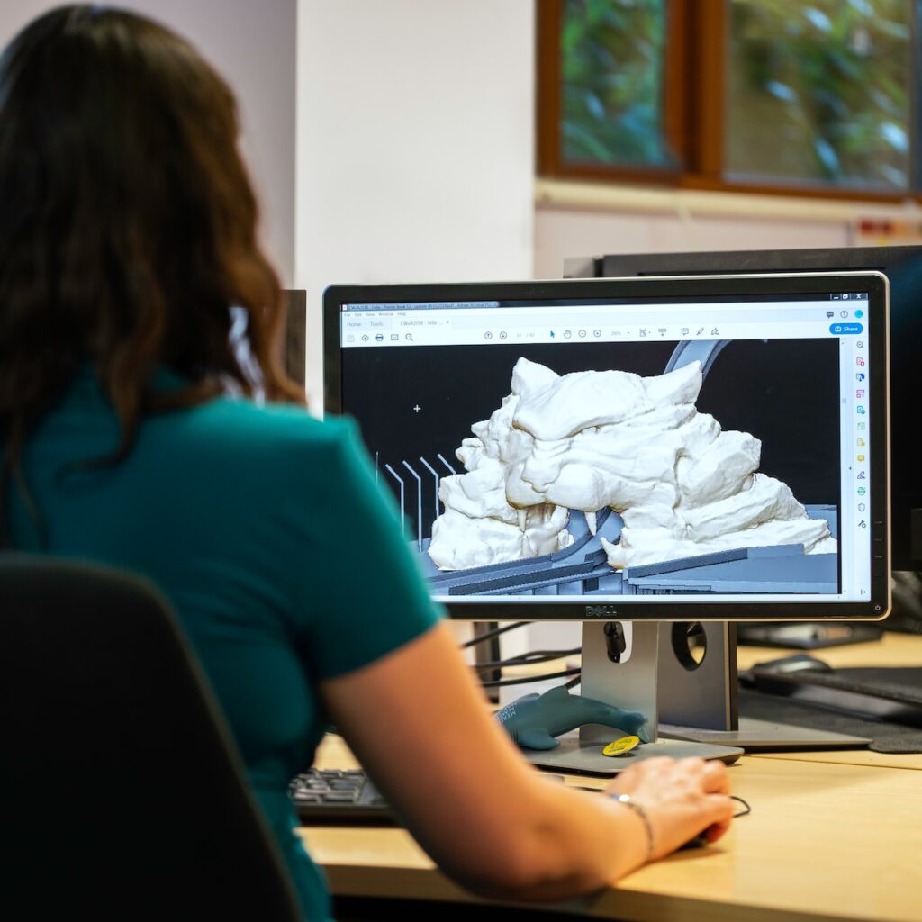 A female 3D artist in action on her computer.