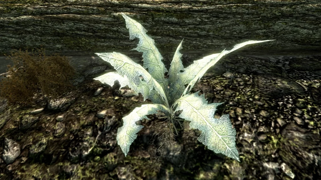 In-game screenshot of Nirnroot, a plant in Skyrim.